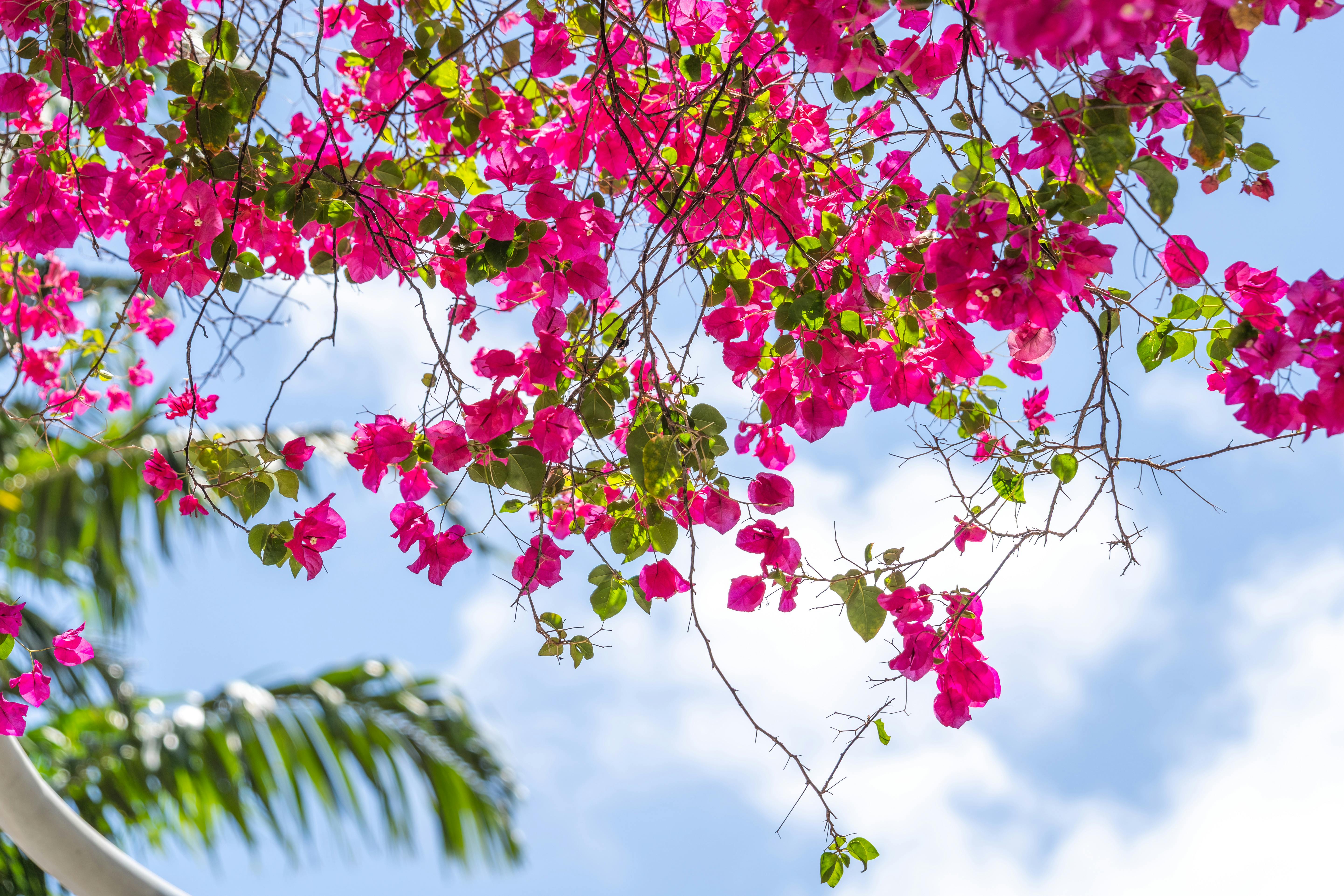 Residential neighborhood